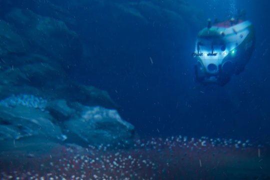 Tarsi iš kitos planetos: vandenyno gelmėse pirmą kartą užfiksavo šias keistas būtybes