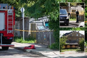 Žiauriai nužudytas 15-metis ir žudikas – artimi draugai: atskleidė daugiau detalių apie tragediją Žvėryne