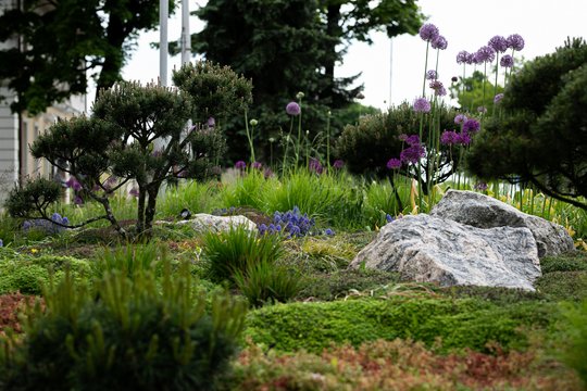 Miesto gėlės, kurios gydo planetą – Tauragė žengia ten, kur kiti dar tik svarsto