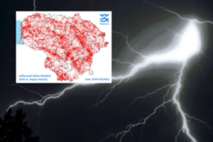 Per liepos mėnesį – 25 tūkst. žaibų Lietuvoje: parodė žemėlapį, kur didžiausia tikimybė būti nutrenktam