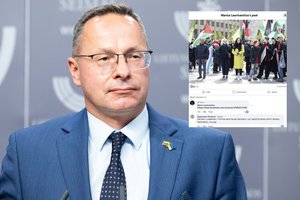 Ž. Pavilionis po žinios apie I. Ruginienę nesivaldė: „Lukašenka ir Putinas kelia taures šampano“