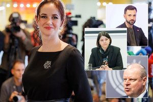 I. Ruginienės išsirinkimas sukėlė reakcijų audrą: konservatoriai pyko, kando T. V. Raskevičius, iš S. Skvernelio – signalas 