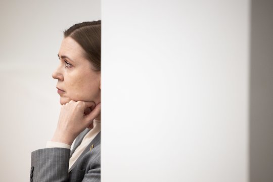 STT turės priimti procesinį sprendimą dėl galimai neteisėtų D. Šakalienės nurodymų saugoti jos šeimos namus