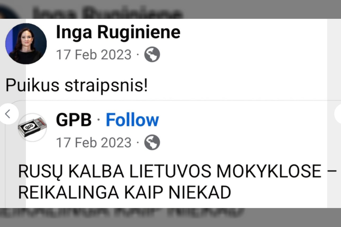 Ingos Ruginienės įrašas.<br> Ekrano nuotr.