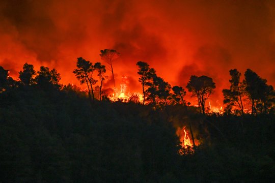 Gaisras Pietų Prancūzijoje niokoja viską savo kelyje: liepsnos palietė net 15 savivaldybių