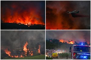 Prancūziją siaubia pragariški gaisrai: jau išdegė Paryžiaus dydžio miškų plotas, skelbia apie žūtį