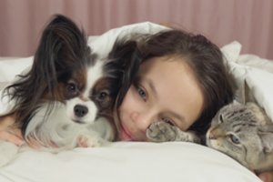 5 žingsniai ir nebepabusite nuo miaukimo ar letenų ant veido