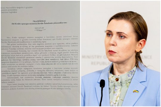 D. Šakalienė paviešino NSGK pasiekusį skundą: tai tampa naujuoju liaudies sportu
