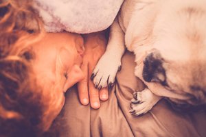 10 būdų, kaip šunys sako „atsiprašau“: vienam jų – neįmanoma atsispirti