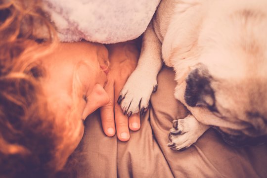 10 būdų, kaip šunys sako „atsiprašau“: vienam jų – neįmanoma atsispirti