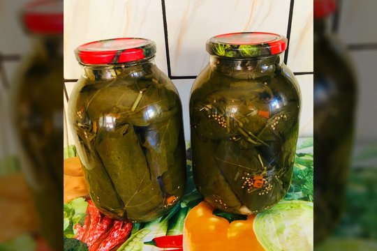 Prieš marinuojant agurkus įvyniokite juos į lapus: nustebins skonis ir traškumas