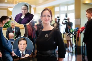 Kaip I. Ruginienės patirtį ir keliones į Rusiją vertina koalicijos partneriai?