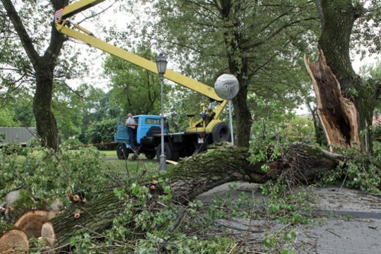 Klaipėdoje ant namų ir automobilių virto medžiai
