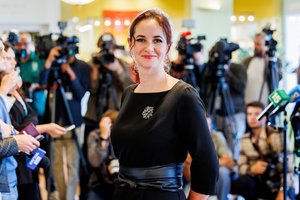 I. Ruginienė prakalbo apie vyrui teismo skirtą baudą