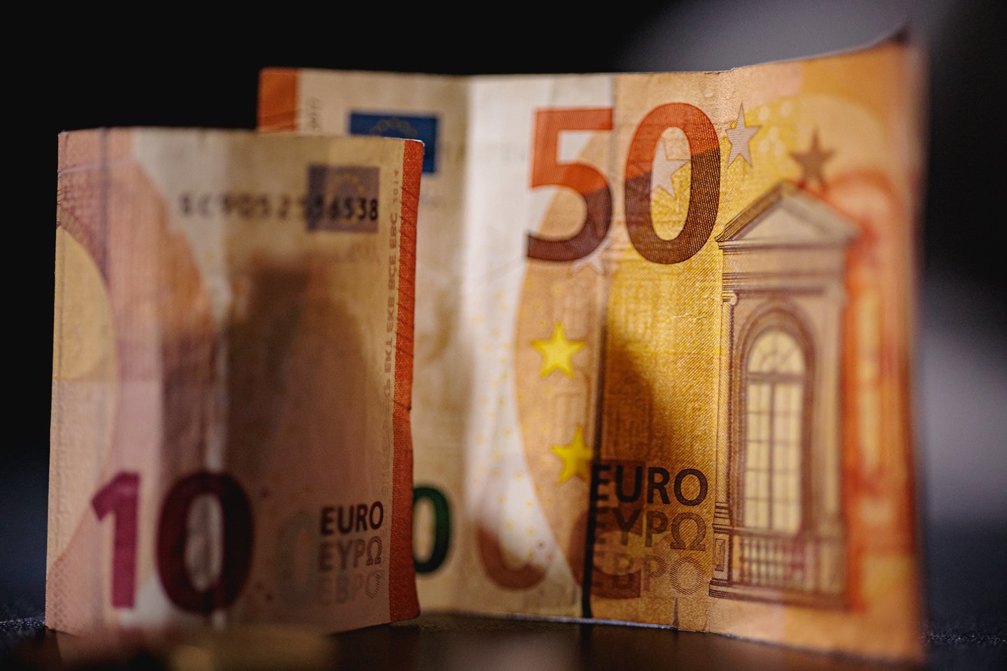 Pinigai.<br>J.Elinsko (ELTA) nuotr.