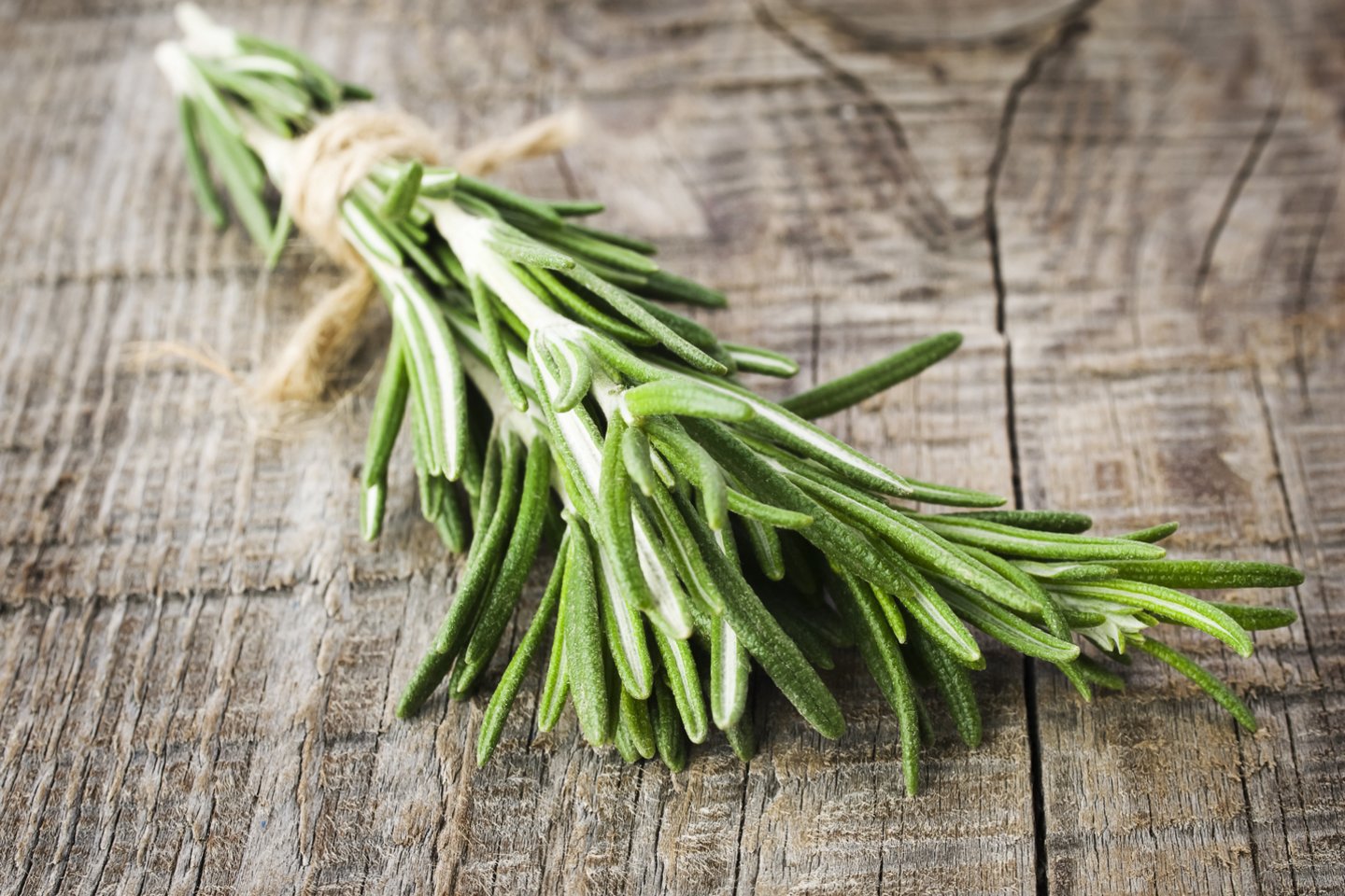 Rozmarinas<br>123rf nuotr.