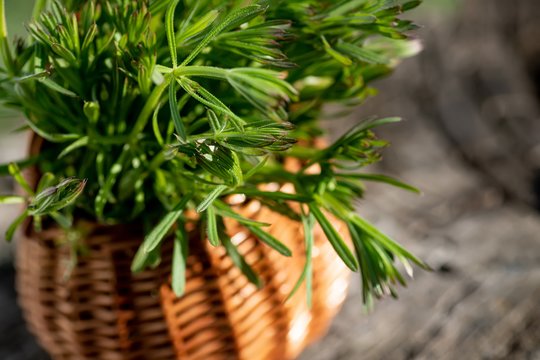 Stebuklingas prieskonis, kuris valo kepenis, mažina cukraus kiekį kraujyje ir kovoja su senėjimu