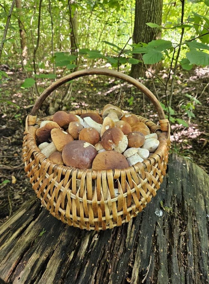  Grybai.<br>„Facebook“ grupės „Grybautojai“ / Egidijaus N. nuotr.