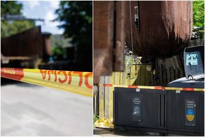 Po žiauraus 15-mečio nužudymo – vis daugiau detalių: nužudymas galėjo būti planuotas