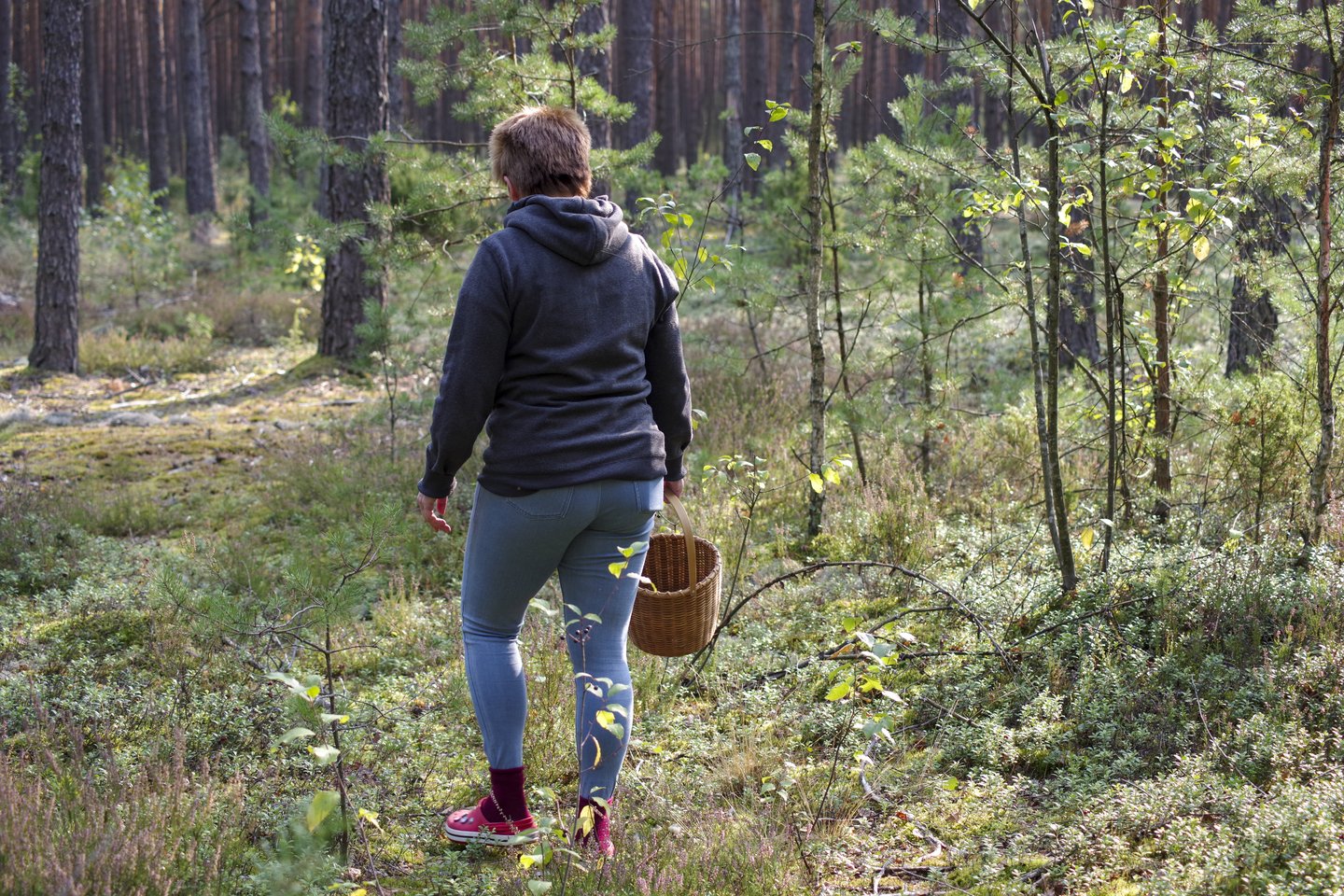 Grybautoja<br>V.Ščiavinsko nuotr.