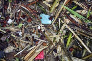 Vietos bendruomenės ragina imtis veiksmų derybose dėl plastiko taršos