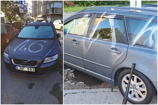 Kauniečio pagalbos šauksmas: gal matėte, kas šitaip suniokojo automobilį?