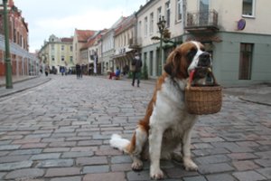 Kelis vaikus ir nemažai kačių išgelbėjusiai garsiajai Bitei svajoja pastatyti paminklą