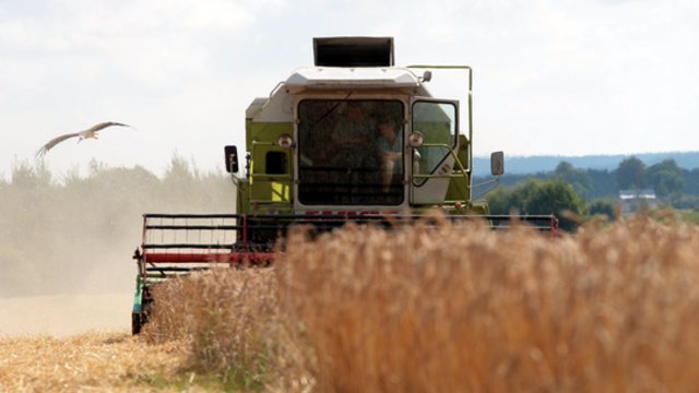 Dėl nesiliaujančio lietaus ūkininkai susiėmę už galvų: smulkieji neturi kur dėtis, nedžiugina ir kainos