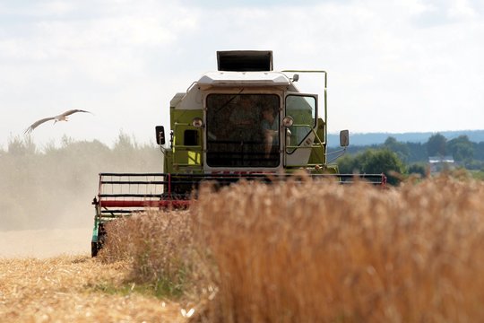 Dėl nesiliaujančio lietaus ūkininkai susiėmę už galvų: smulkieji neturi kur dėtis, nedžiugina ir kainos