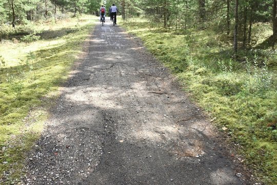Dviračių takas pajūryje virto išbandymų taku: iki nelaimės – tik žingsnis