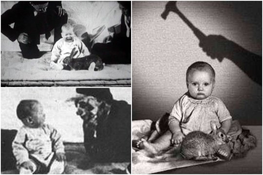 Protu nesuvokiama: mokslininkai kankino mažą berniuką, kad išsiaiškintų, kaip veikia refleksai