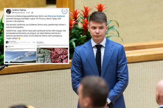 Socialdemokratas skelbėsi parduodantis bulves ir ieškantis darbuotojų: po A. Tapino klausimų pateikė atsaką