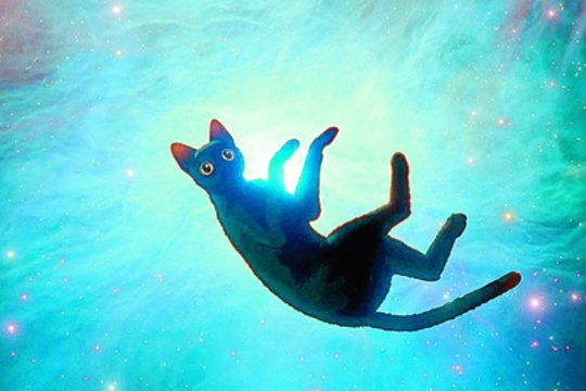 Kino dienų centre – skirtingos kartos