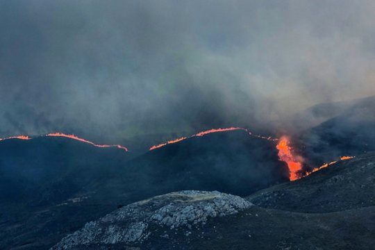 Graikijoje – iki šiol sunkiausios šio miškų gaisrų sezono dienos