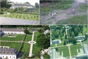 Skandalas Vengrijoje: nufilmavo V. Orbano šeimos dvarą, kuriame laksto zebrai