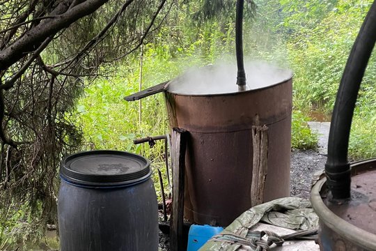 Vienu nelegaliu bravoru Žemaitijoje mažiau – Telšių r. likviduotas miško tankmėje veikęs naminukės fabrikėlis
