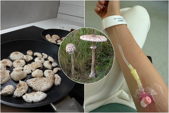 Galvojo, kad renka populiarų grybą, o teko vykti į ligoninę: labai panašūs, bet vienas iš jų – nuodingas