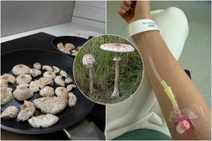 Galvojo, kad renka populiarų grybą, o teko vykti į ligoninę: labai panašūs, bet vienas iš jų – nuodingas