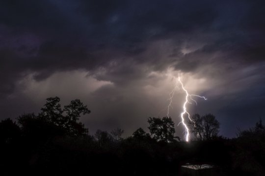 Į kokius medžius dažniausiai smogia žaibas? Žinojimas apie tai gali išgelbėti gyvybę
