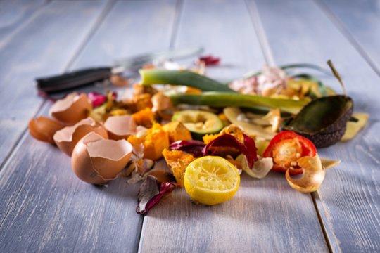 Maisto likučius verčia vertingais produktais
