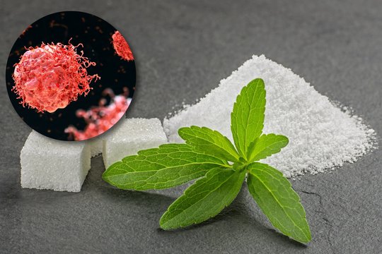 Šis saldiklis gali padėti kovojant su viena mirtiniausių vėžio rūšių