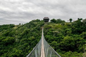 Lietuvių naršymo rekordai atskleidė naujas keliavimo kryptis