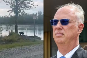 V. Putino patarėjas prieš derybas Aliaskoje susidūrė su meška