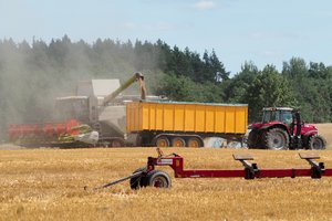 Nesuvokiamas įžūlumas – nukūlė svetimus laukus, pavogė derlių
