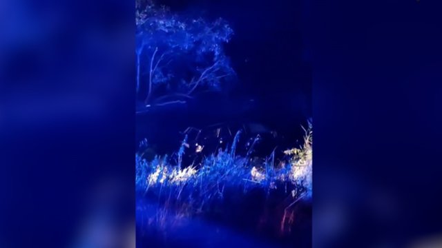 Vaizdai iš avarijos Vilkaviškio rajone: ugniagesiai ištraukė į vandenį įskriejusį automobilį