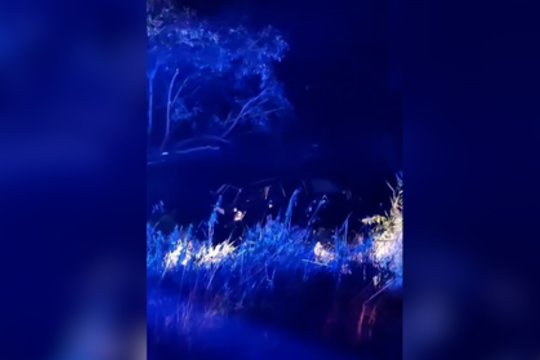 Vaizdai iš avarijos Vilkaviškio rajone: ugniagesiai ištraukė į vandenį įskriejusį automobilį