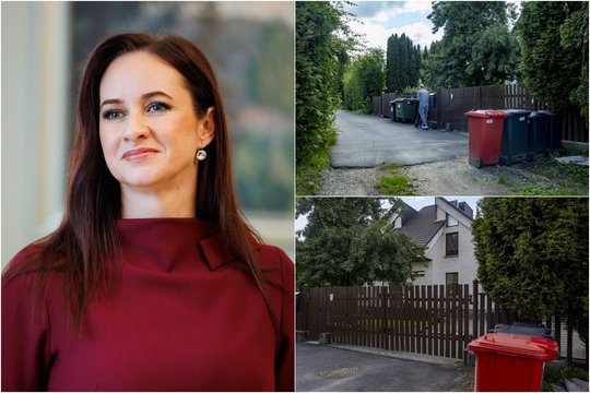 I. Ruginienės veidas – artimiausių kaimynų akimis: ką saugo tujų apsuptas namas
