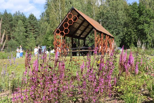 Žaliosios istorijos Palūšėje
