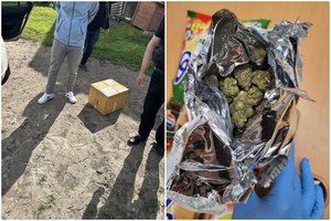 Siuntose iš Tailando muitininkai aptiko 2,5 kg kanapių: sulaikyti du Marijampolės gyventojai