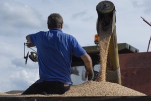 Dėl šio uždarbio žmonės net ima neapmokamas atostogas: mėnesinė alga – panaši kaip Seimo nario